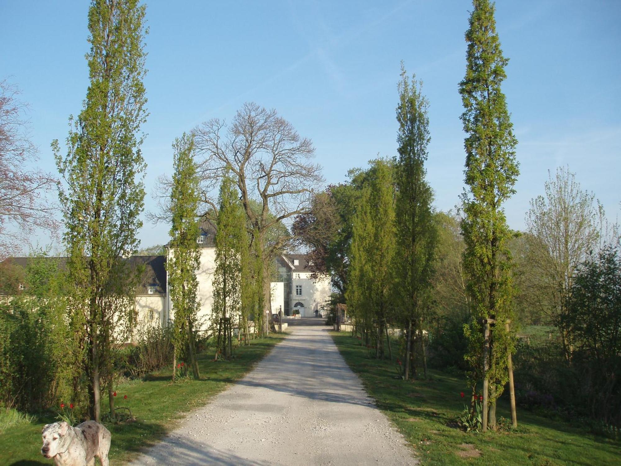 Burg Boetzelaer Hotel Kalkar Eksteriør billede